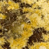 Cacoxenite
FOV = 1.6 mm
(Autor: Doug)