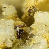 Rutile, Scorodite
FOV = 0.8 mm
(Autor: Doug)