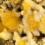 Descloizite, Vanadinite
FOV = 1.3 mm
(Autor: Doug)