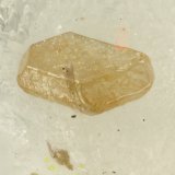 Chlorargyrite
FOV = 0.9 mm
(Autor: Doug)