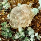 Variscite
FOV = 1.6 mm
(Autor: Doug)