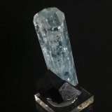 Beryl (variety aquamarine), Schorl
2 X 5 cm
(Autor: Richard Arseneau)