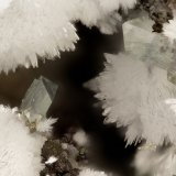 Hemimorphite, Adamite
FOV = 2.8 mm
(Autor: Doug)