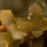 Siderite
FOV = 2.9 mm
(Autor: Doug)