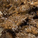 Selenium
FOV = 1.3 mm
(Autor: Doug)