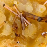 Vanadinite
FOV = 3.2 mm
(Autor: Doug)