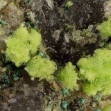 Pseudojohnite
FOV = 2.9 mm
(Autor: Doug)