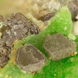 Chlorargyrite Conichalcite
FOV = 1.5 mm
(Autor: Doug)