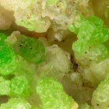 Conichalcite
FOV = 1.3 mm
(Autor: Doug)