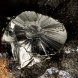 Hetaerolite
FOV = 1.0 mm
(Autor: Doug)