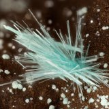 Aurichalcite Fraipontite
FOV = 3.2 mm
(Autor: Doug)