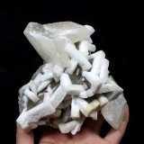 Barite &amp; Calcite
Size: 14*13*7.5cm     Weight: 1505g
(Autor: Xueyan Jin)
