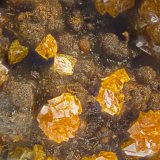 Natrojarosite
FOV = 2.0 mm
(Autor: Doug)