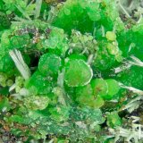 Conichalcite
FOV = 4.0 mm
(Autor: Doug)