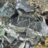 Chalcocite
FOV = 2.0 mm
(Autor: Doug)