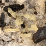 Aegirine with Ilmenite
FOV = 2.9 mm
(Autor: Doug)