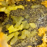 Bromargyrite
FOV = 4.0 mm
(Autor: Doug)
