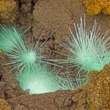 Agardite-(Y)
FOV = 4.0 mm
(Autor: Doug)