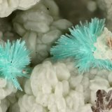 Agardite-(Y)
FOV = 2.0 mm
(Autor: Doug)