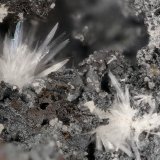 Hydrozincite
FOV = 3.9 mm
(Autor: Doug)