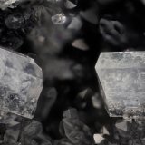 Fluellite
FOV = 4.0 mm
(Autor: Doug)