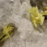 Ferrimolybdite
FOV = 2.7 mm
(Autor: Doug)
