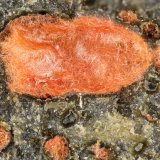 Cuprite
FOV = 3.2 mm
(Autor: Doug)
