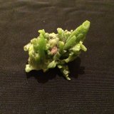 Pyromorphite
40 mm X 30 mm X 35 mm
(Autor: Robert Seitz)