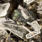 Ilmenite
FOV = 2.8 mm
(Autor: Doug)