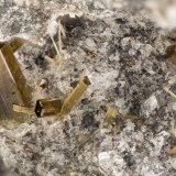 Fluoro-edenite
FOV = 2.0 mm
(Autor: Doug)