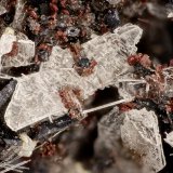 Albite
FOV = 3.2 mm
(Autor: Doug)