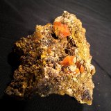 Wulfenite
95 mm x 80 mm 45 mm
(Autor: Robert Seitz)