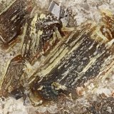 Enstatite, Aegirine
FOV = 1.8 mm
(Autor: Doug)