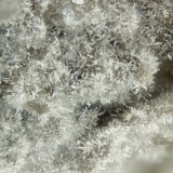FOV = 2.0 mm
(Autor: Doug)