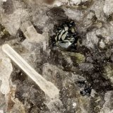 Fluorapatite, Hematite
FOV = 2.3 mm
(Autor: Doug)