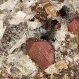 Fluorapatite
FOV = 2.8 mm
(Autor: Doug)