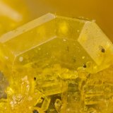 Wulfenite
FOV = 1.1 mm
(Autor: Doug)