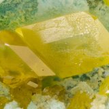 Wulfenite
FOV = 3.3 mm
(Autor: Doug)