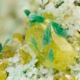 Wulfenite, Malachite
FOV = 2.8 mm
(Autor: Doug)
