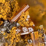 Mottramite, Vanadinite
FOV = 3.2 mm
(Autor: Doug)