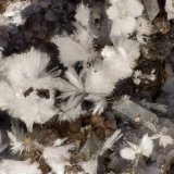 Hemimorphite
FOV = 3.8 mm
(Autor: Doug)