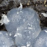 'Thomsonite'
FOV = 3.6 mm
(Autor: Doug)