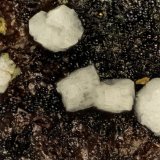 Fluorapatite
FOV = 1.8 mm
(Autor: Doug)