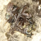 Pseudpbrookite
FOV = 0.8 mm
(Autor: Doug)