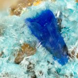 Linarite, Serpierite
FOV = 1.3 mm
(Autor: Doug)