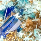 Linarite, Serpierite
FOV = 1.6 mm
(Autor: Doug)