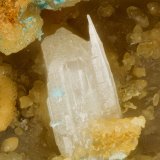 Cerussite
FOV = 3.2 mm
(Autor: Doug)