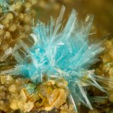 Serpierite
FOV = 1.7 mm
(Autor: Doug)