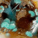 Schulenbergite, Serpierite
FOV = 1.7 mm
(Autor: Doug)