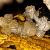 Pyromorphite, Goethite
FOV = 1.5 mm
(Autor: Doug)